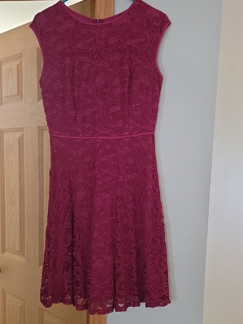 Fit-and-Flare Lace Mini Dress in Berry